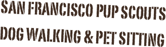 San Francisco Pup Scouts
Dog Walking & Pet Sitting
